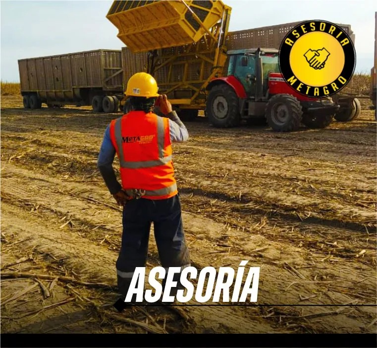 Asesoría Metagro